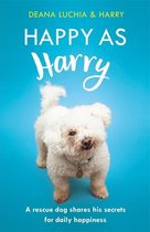 Happy as Harry A rescue dog shares his secrets for daily happiness