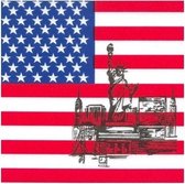 100x USA\\Amerika landen thema servetten 33 x 33 cm - Papieren wegwerp servetjes - Amerikaanse versieringen/decoraties
