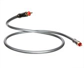 QED Performance Audio 40i 0.6m - Hifi RCA audiokabel 0,6m - Tulp kabel (2 stuks)