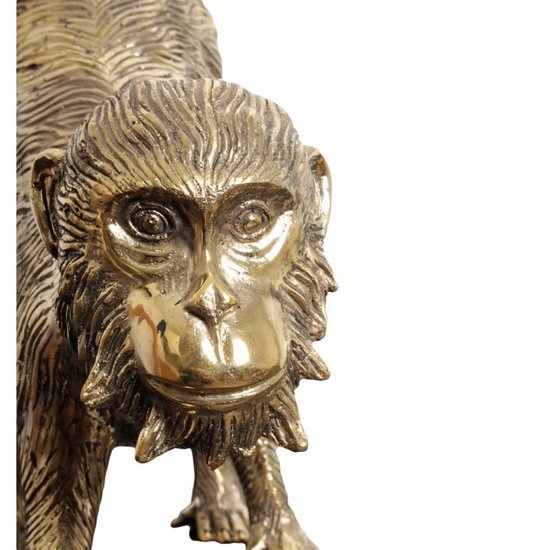 Pole to Pole Brass Monkey