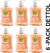 Dettol Handzeep Anti-bacterieel Grapefruit - 6 x 250 ml Voordeelverpakking