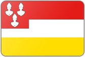Vlag gemeente Eemnes - 100 x 150 cm - Polyester
