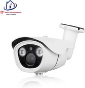 Home-Locking POE IP-camera dome met bewegingsdetectie 3.0MP (wit) C-502