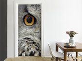 Easy Doorsticker XL - Uilen Oog