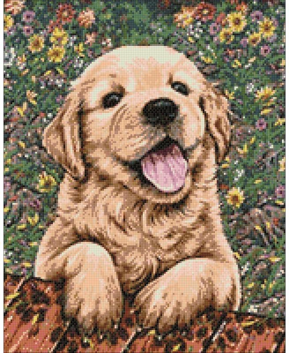 Diamond painting 40x50 cm Labrador hond