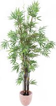 Europalms kunstplant bamboe - 210cm - Groen - Kunstplant voor binnen
