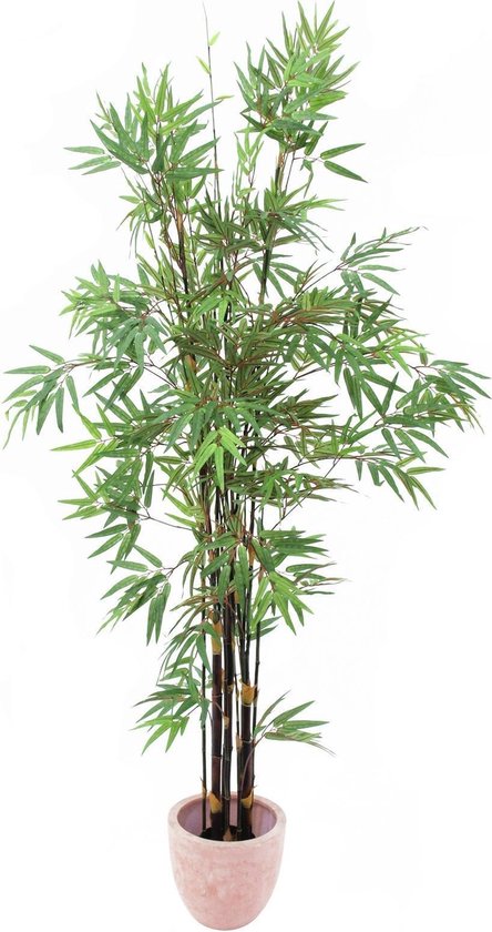 coupon Array strip Europalms kunstplant bamboe - 210cm - Groen - Kunstplant voor binnen |  bol.com