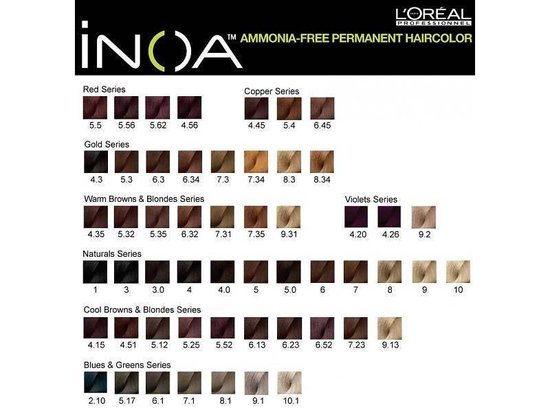 L'Oréal INOA kleurengids met diverse haarkleur samples, onderverdeeld in series.