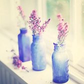 Peinture au diamant - Vases bleus dans la fenêtre - 40x30cm