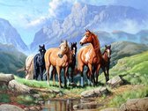 Diamond painting - Paardenfamilie in vallei/weide - 30x20cm