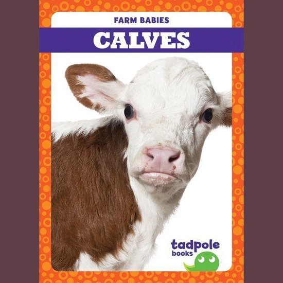 Calves - cover