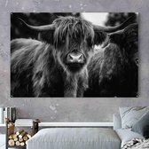 Schotse hooglander schilderij - Zwart wit op aluminium - 60x40cm - Met ophangsysteem - Muurdecoratie - Wanddecoratie