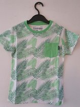 Tiffosi-jongens-t-shirt -Boards-palmprint-kleur: groen, wit-maat 116