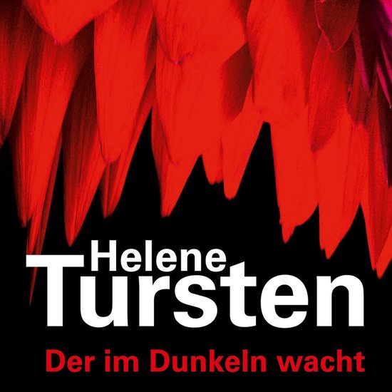 Der im Dunkeln wacht - cover