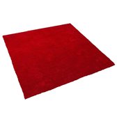 Beliani DEMRE - Vloerkleed - rood - polyester