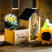 Compleet Bijenhotel met BIO zaden Zonnebloem kweekset gemaakt met FSC hout