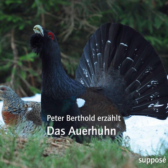 Das Auerhuhn - cover