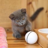 Kattenbal - Zelfrollende kattenbal - Kattenspeeltjes -  Katten speelgoed - NU MET GRATIS LASERPEN - Zelf rollende kattenbal - Kattenspeelgoed