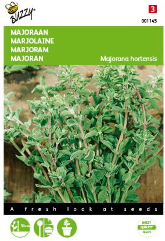 2 stuks Majoraan (Majorana hortensis)