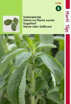 2 stuks Stevia Suikerplantje Zaden
