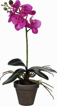 Kunstplant Orchidee Phalaenopsis Paars - H 48cm - Keramiek sierpot - Mica Decorations