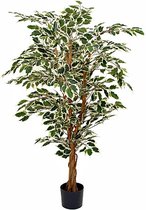 Plante artificielle Ficus Hawaii vert panaché - H 150cm - Pot en plastique - Décorations Mica