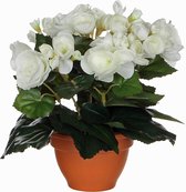 Kunstplant Begonia Wit - H 25cm - Terracotta sierpot - Mica Decorations