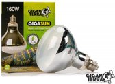 Giganterra Gigasun 160 Watt