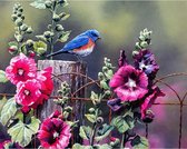 JDBOS ® Schilderen op nummer Volwassenen -  Vogel op paaltje tussen de bloemen - Verven volwassenen - 40x50 cm