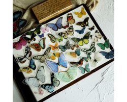 84 Vintage Vlinder Vellum Stickers - Butterfly sticker