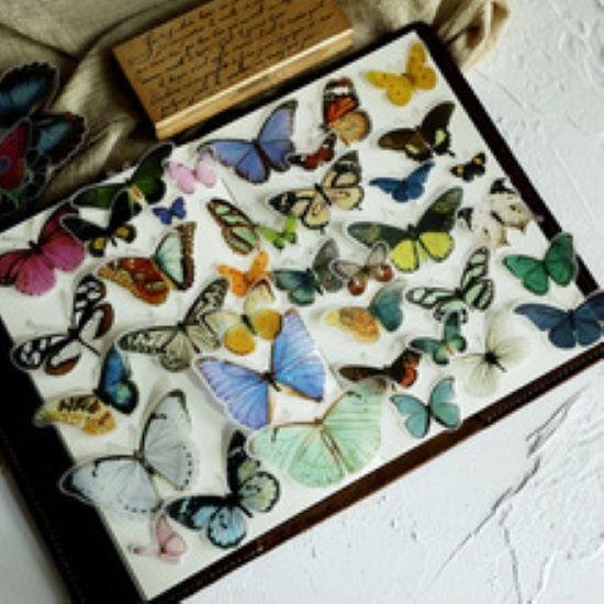 Foto: 84 vintage vlinder vellum stickers butterfly sticker