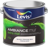 Levis Ambiance Muurverf - Extra Mat - Shady Orange B10 - 2.5L