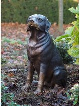Tuinbeeld - bronzen beeld - Rottweiler - 64 cm hoog