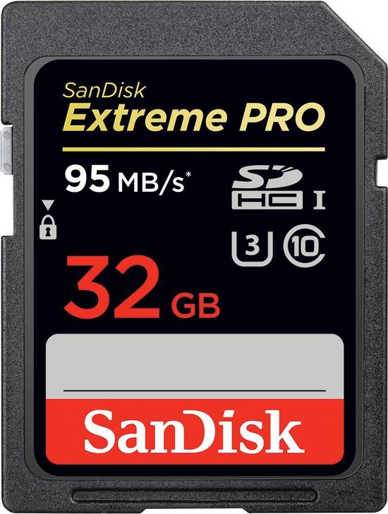 ergens wimper Zeeanemoon SanDisk Extreme Pro SDHC kaart 32 GB | bol.com