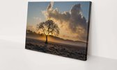 Douwveld met boom | 90 x 60 CM | Canvasdoek voor buiten | Schilderij | Outdoor | Tuindoek