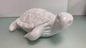 Schildpad beeld - Wit