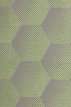 Sunbrella Hexagon J206 mint per meter voor tuinkussens, buitenstoffen, palletkussens