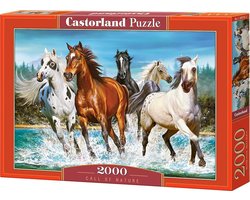 Castorland Call of Nature – Puzzel – 2.000 stukjes – Satijnen afwerking – Perfecte pasvorm – Europese kwaliteit