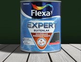 FLEXA EXPERT BUITENLAK DEKKEND HOOGGLANS RAL 6009 750ML