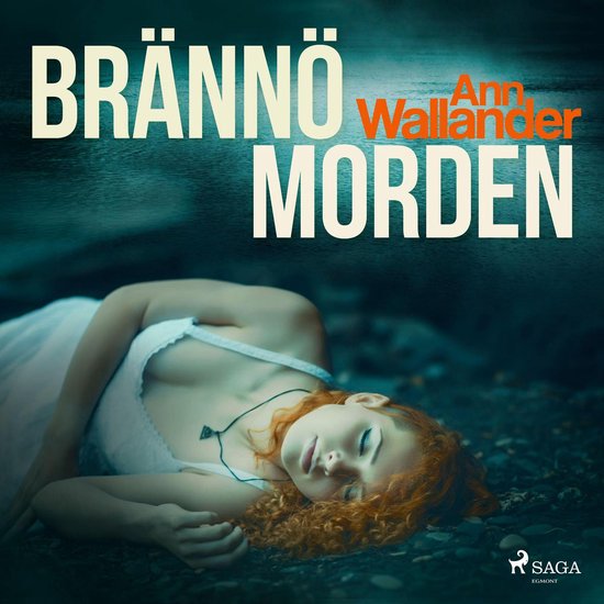 Brännömorden - cover