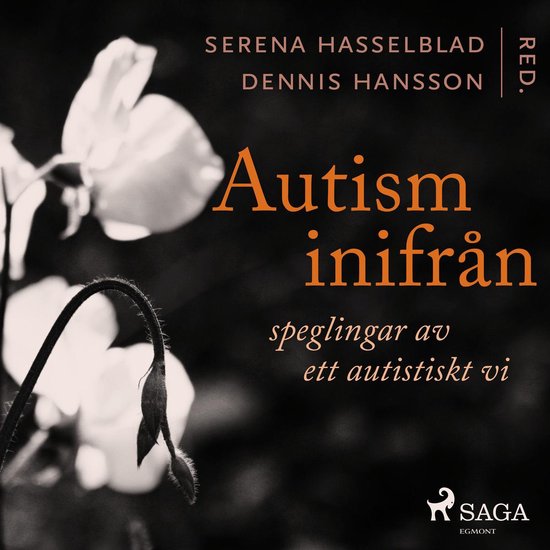 Autism inifrån: Speglingar av ett autistiskt vi - cover