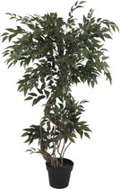 Europalms Ficus meervoudige spiraalvormige stam, 130cm