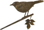 Metalbird Merel