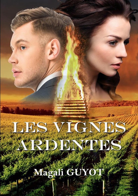 Les enquêtes de Gab et Garnier 1 - Les vignes ardentes - cover