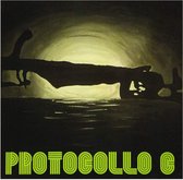 Protocollo C (CD)