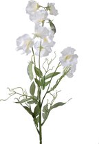 Viv! Home Luxuries Lathyrus - zijden bloem - wit - 70cm