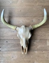 Skull buffelschedel beige witte uiteinden 80 cm hoog