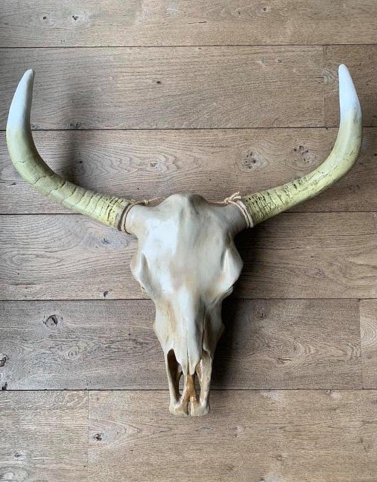 Skull Decoratie - Buffelschedel - Muurdecoratie - Wanddecoratie - Gewei - 74 cm breed