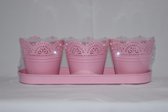 tray 3 potjes bloemmotief roze 32 x 10 cm voor in de tuin of op balkon