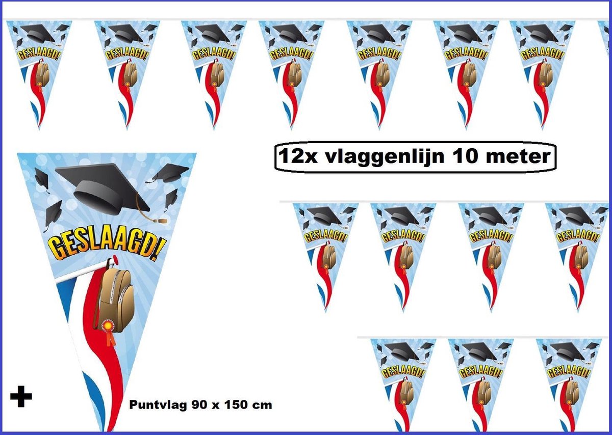 12x Geslaagd vlaggenlijn 10 meter + puntvlag 90x150cm  - geslaagd vlag en wimpel  master diploma geslaagd feest school thema feest  afstudeer